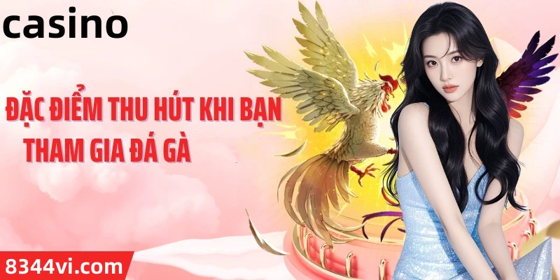Hình ảnh quảng cáo của ku711 hiển thị nền tảng và các lợi ích