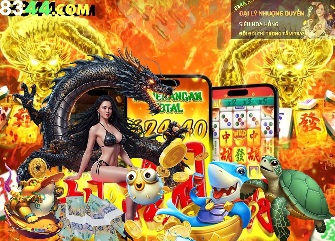 Hình ảnh quảng cáo của ku711 hiển thị nền tảng và các lợi ích